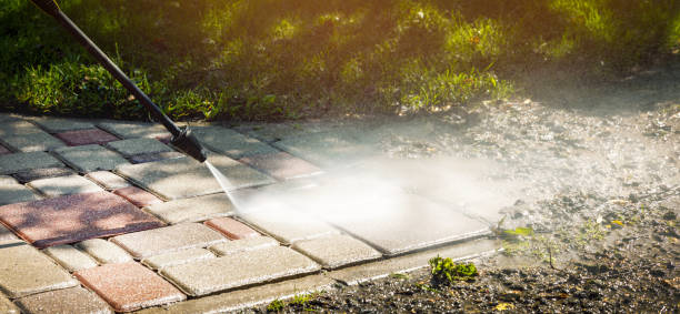 Best Animal Enclosure Cleaning  in Walkertown, NC